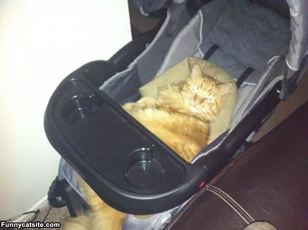 Now Push Me Around