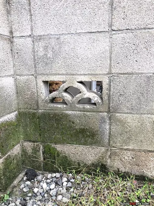 I See You