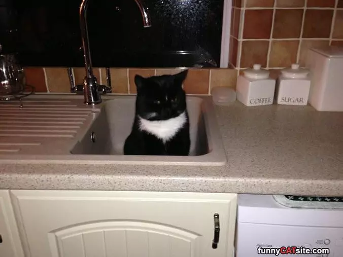 Can I Have Some Water Please