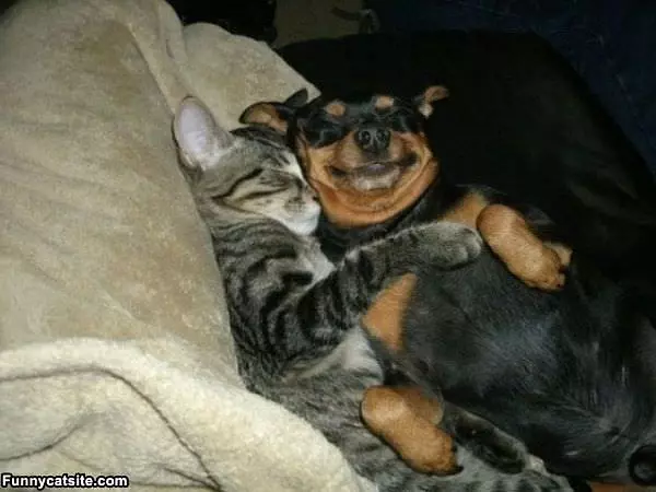 How To Keep Warm
