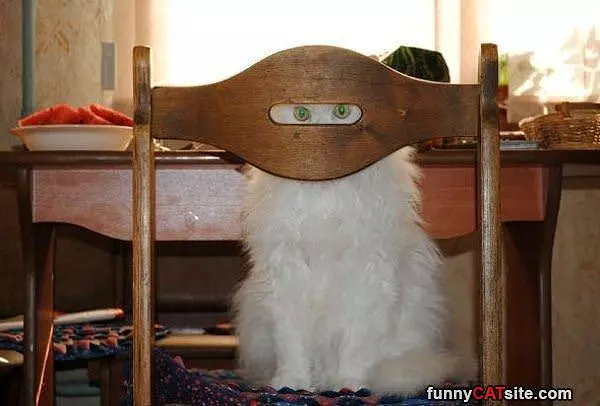 I Am Watching You Closely
