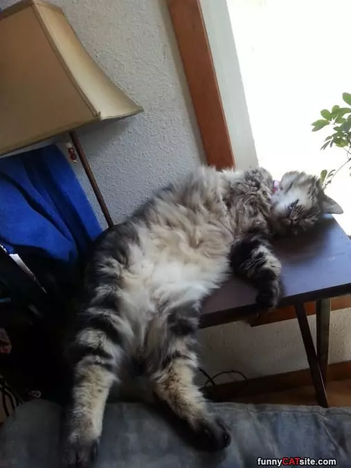 Snoozing