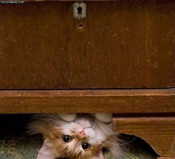 Under Here