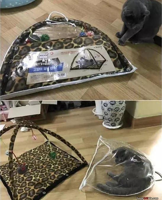 Got My New Bed