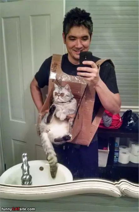 Cat Selfies