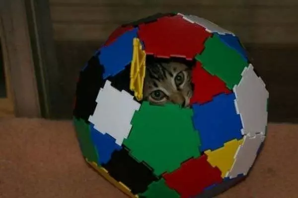 Cat Ball