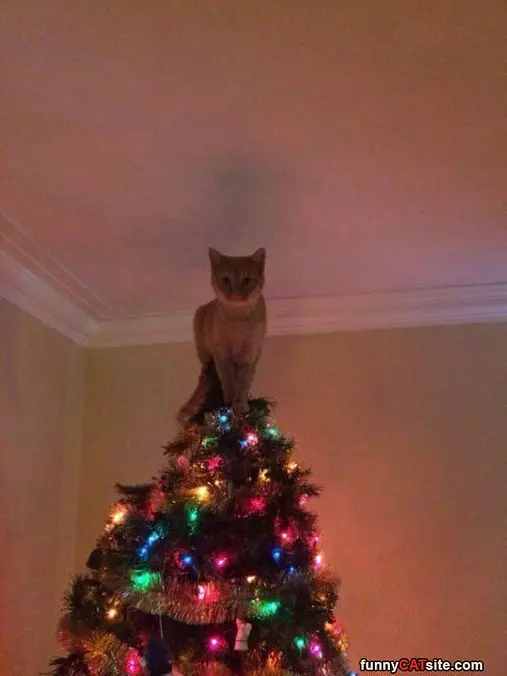 Our Star