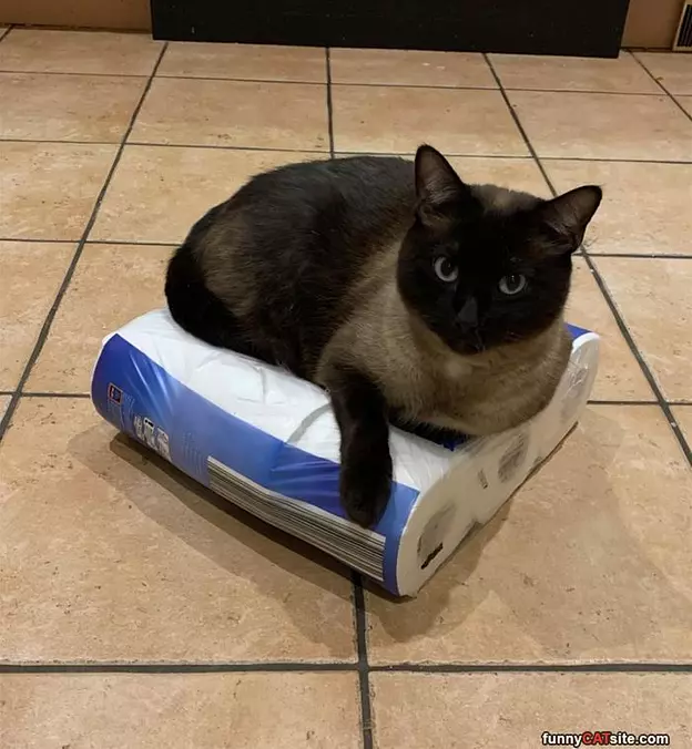 My Tp