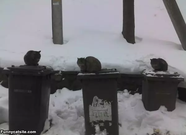 Taking Out The Trash