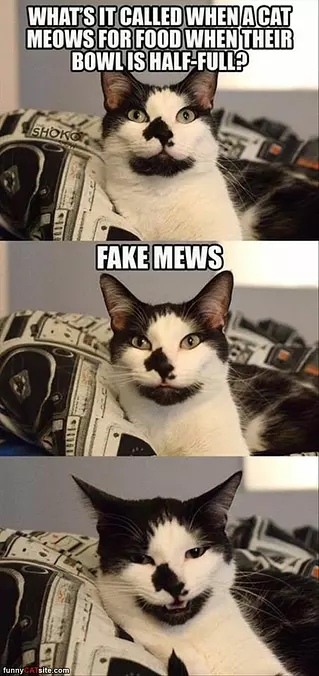 A Fake News Joke