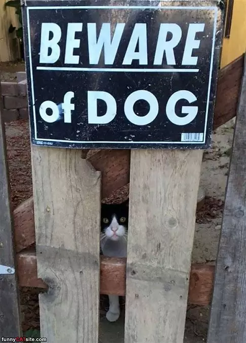 Not So Scary