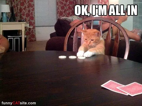 Im All In