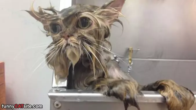This Bath Is Really Not Bad