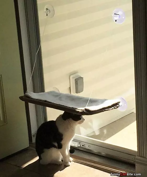 Good Sun Shade