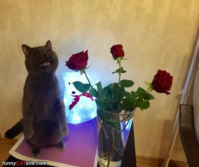 For Meeee