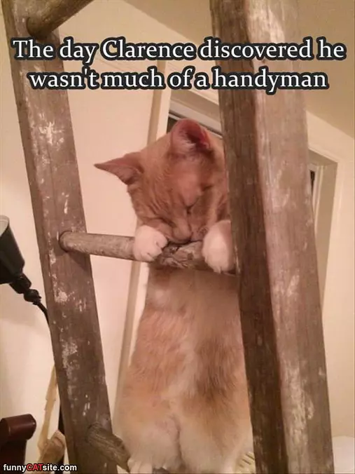 Not Much Of A Handyman