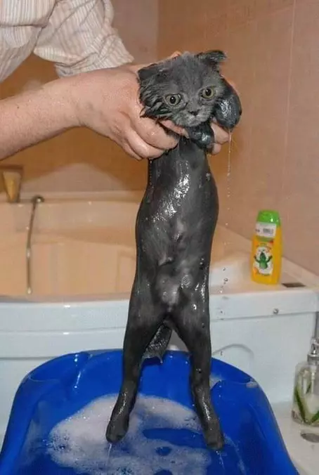 Cold Bath