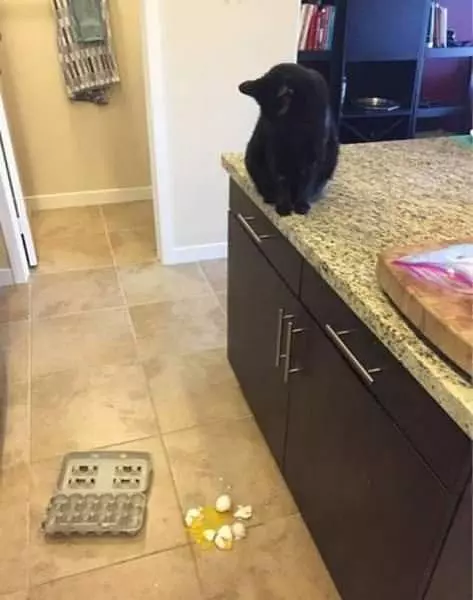 I Stand Where I Want