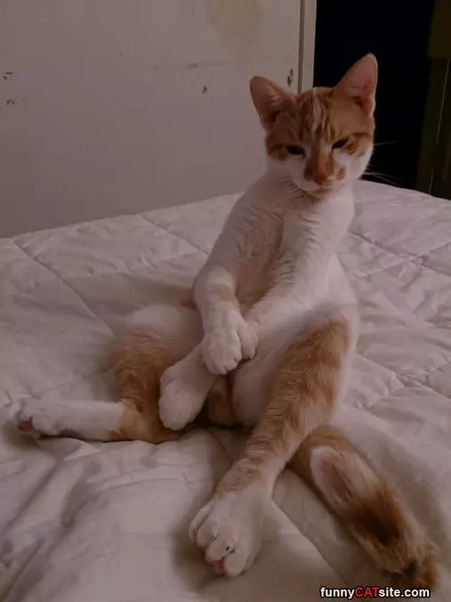 Lets Sit And Talk