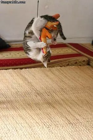 Upside Down Attack