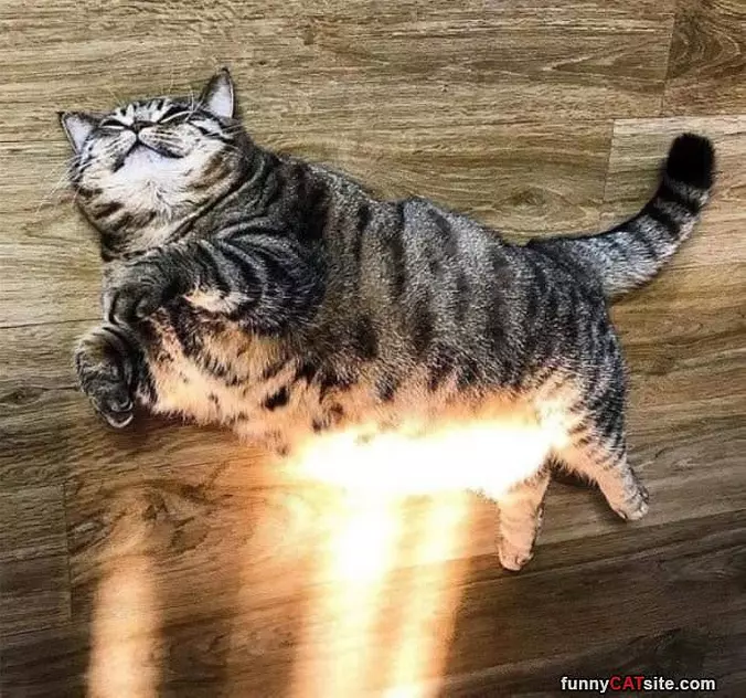 A Good Dream