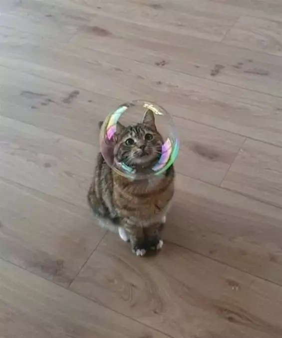 The Bubbbble