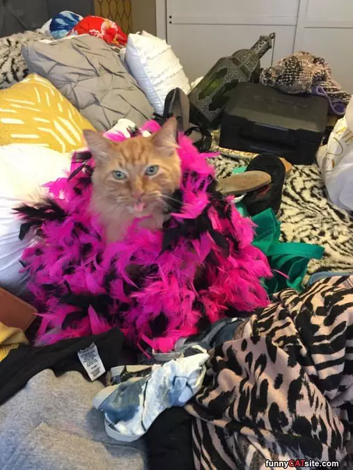 I Am Fabulous