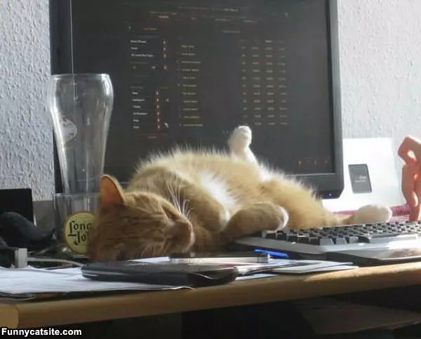 I Am Not Moving