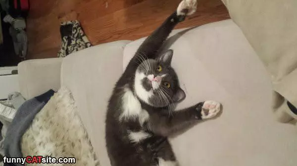 Hands Up Stretching