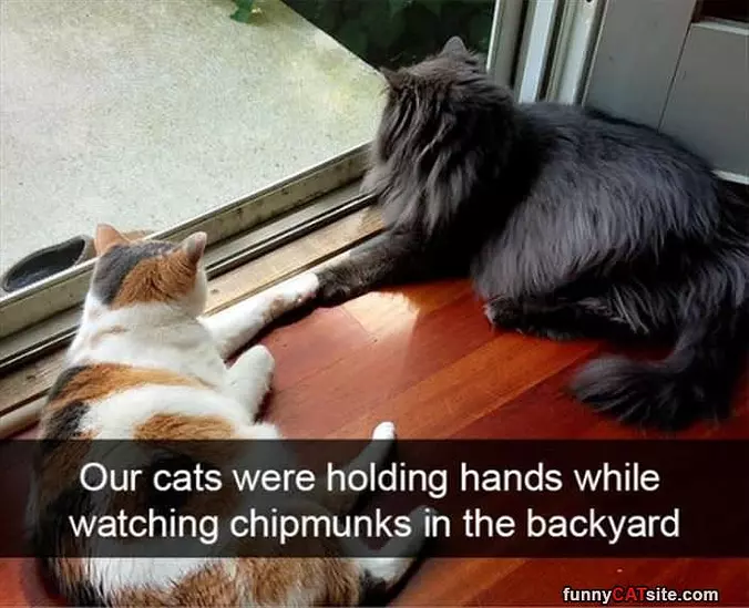 We Like To Hold Hands