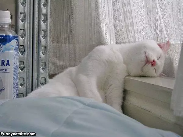 So Sleepy