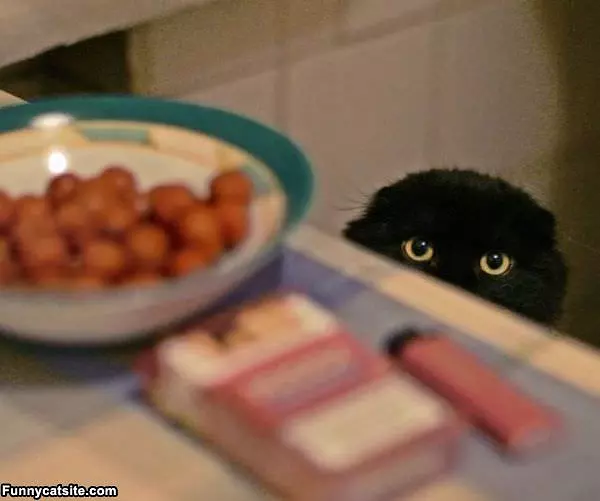 I Want That Food