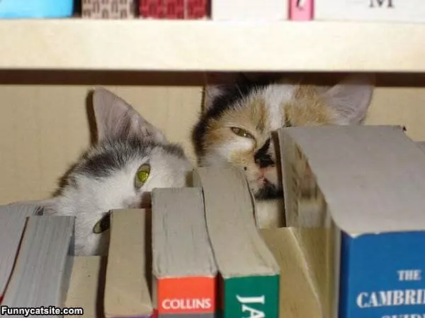 Nothing To See Here