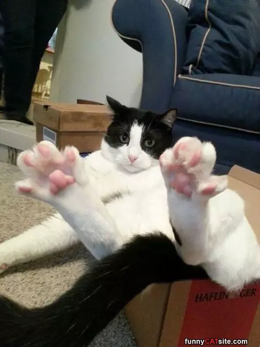 Chillin Here