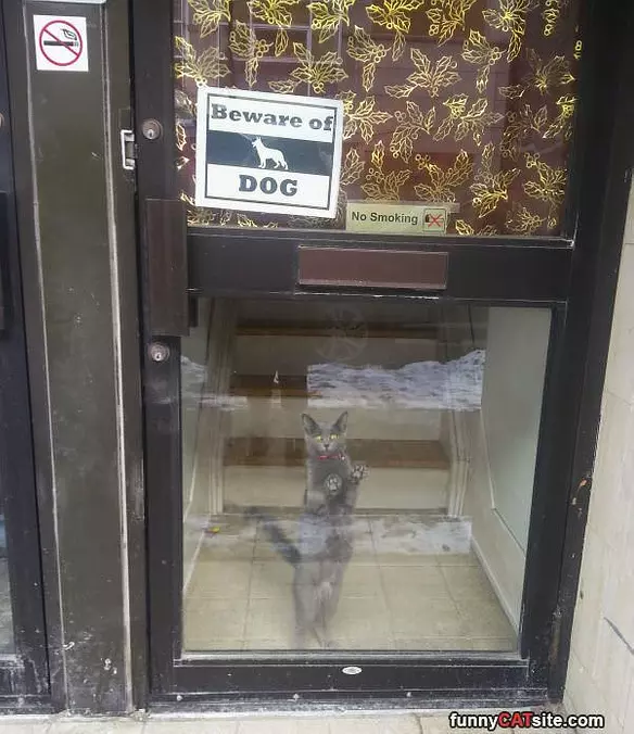 Beware