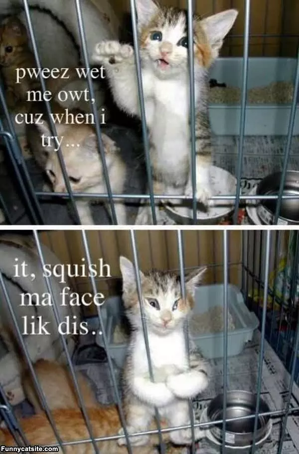 Pweez Let Me Out