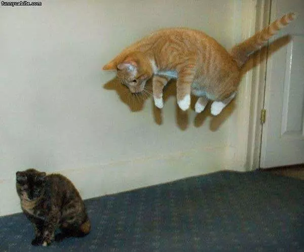 Hovering