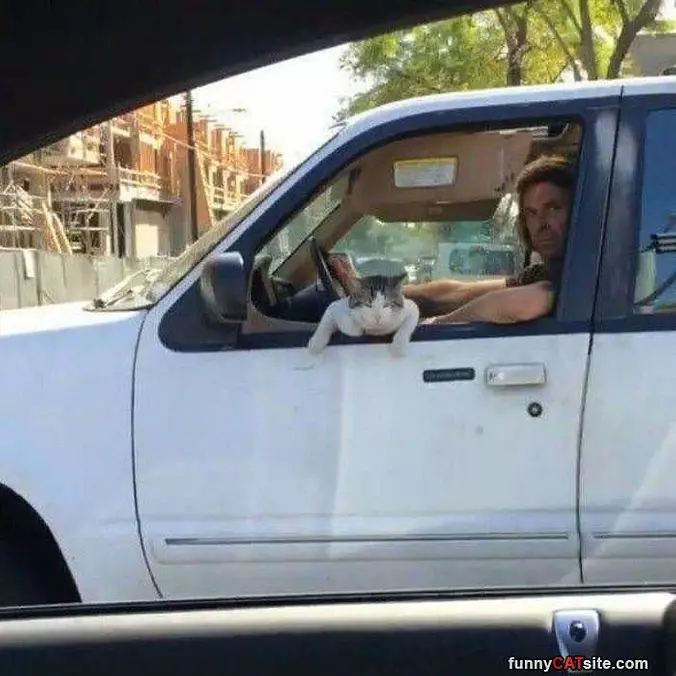 Hey You Slow Down