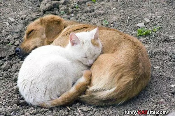 Keeping So Warm