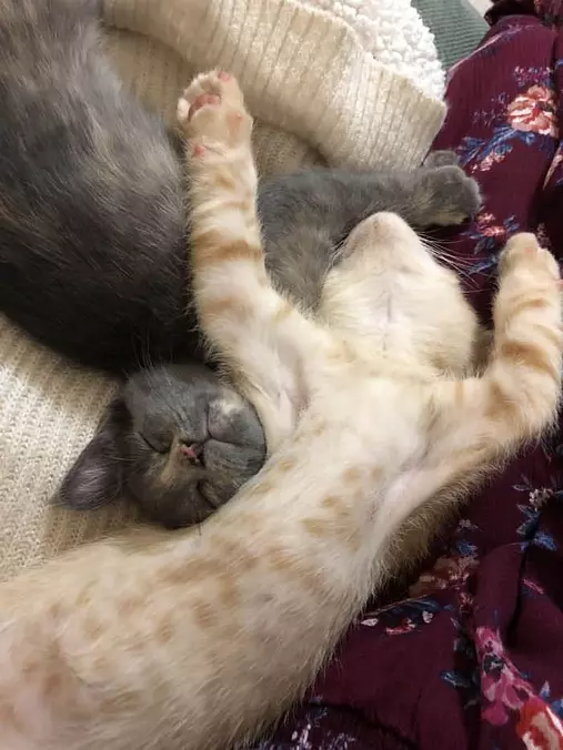 Chilling Out