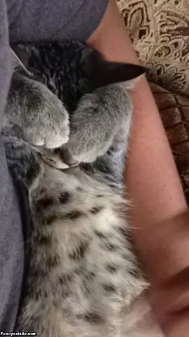 Do Not Wake Me
