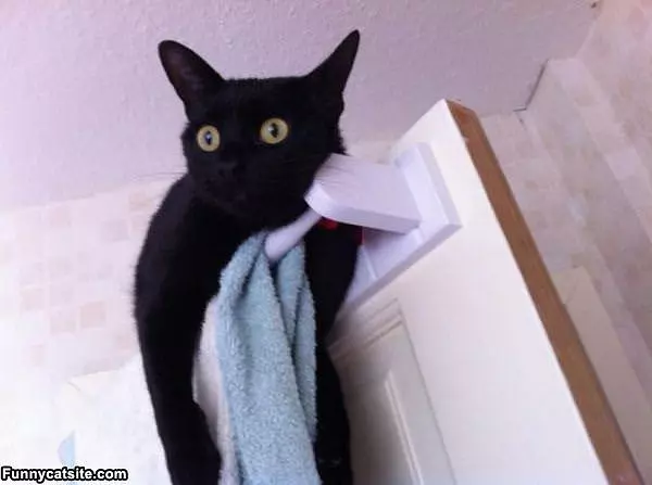 Im Watching You