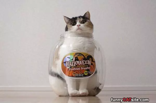 I Am Halloween Candy