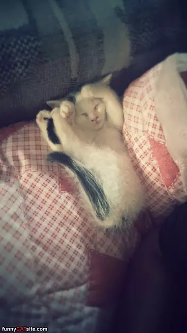 Dreaming And Stretching