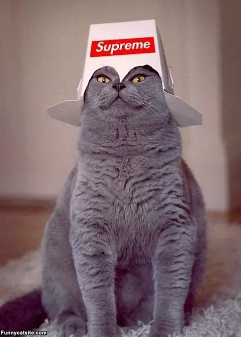 Supreme