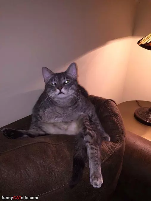 On The Couch
