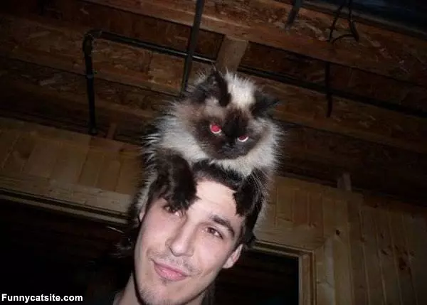 Its A Warm Hat