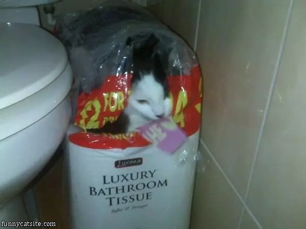 Bathroom Tissue