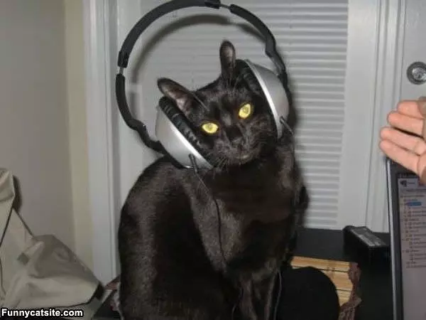 Listening To Musics