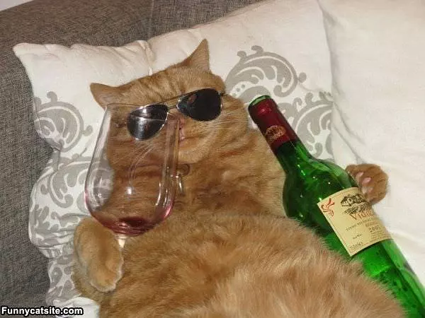 Ive Had Too Much